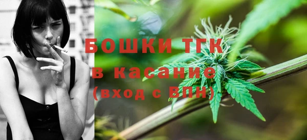 твердый Аркадак