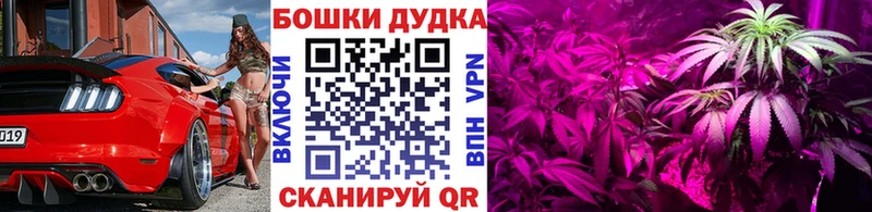 где купить наркоту  Собинка  Марихуана планчик 